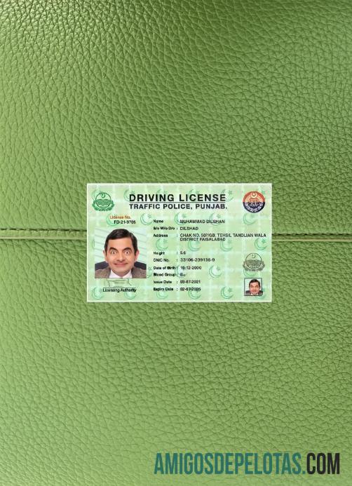 Carta de condução de Punjab da Índia 2021 presente fotolook frente amostra